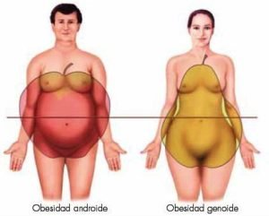 obesidad-genoide-androide