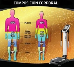 perder grasa mejorar la composición corporal